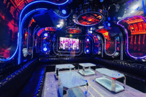 Karaoke Napoleon 8 Miếu Đầm