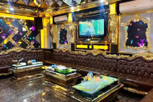 Karaoke Palace KTV 135 Nghi Tàm
