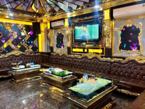 Karaoke Palace KTV 135 Nghi Tàm
