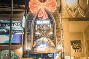 Karaoke Icool Mạc Đĩnh Chi - Tụ điểm giải trí đẳng cấp bậc nhất tại "trái tim" Sài Gòn.