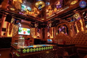 Karaoke Volume 10 Phú Mỹ