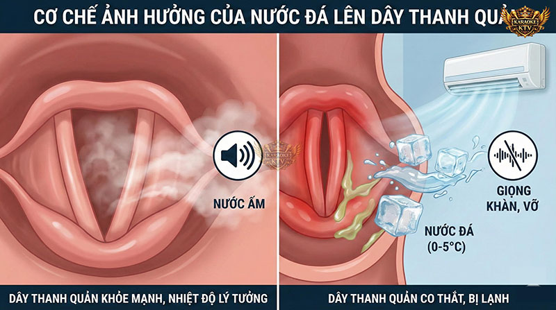 Sự chênh lệch nhiệt độ lớn gây co thắt dây thanh quản, làm giảm độ rung và khả năng tạo âm thanh trong trẻo
