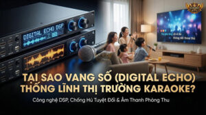 Tại sao Vang số (Digital Echo) thống lĩnh thị trường Karaoke?
