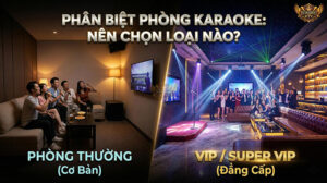 Phân biệt rõ ràng giữa phòng thường và VIP giúp bạn chọn được không gian phù hợp cho cuộc vui