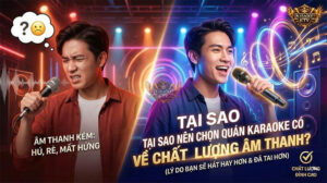 Tại Sao Cần Chọn Quán Karaoke Có Âm Thanh Chất Lượng Cao?