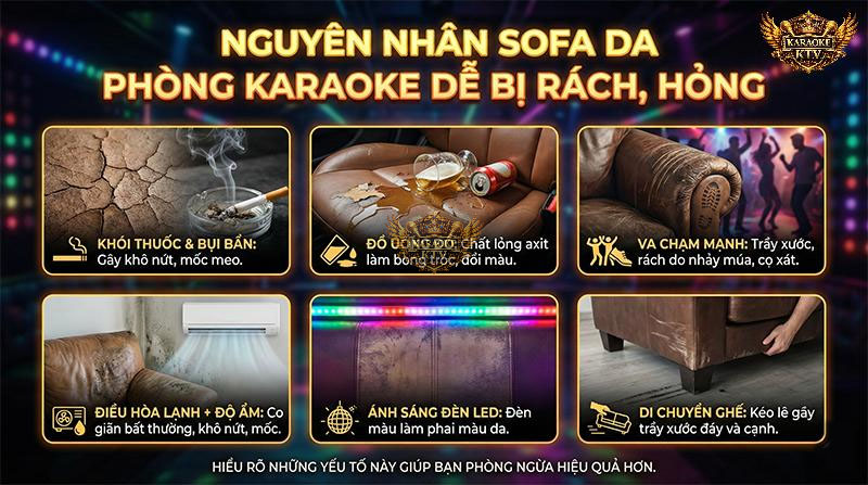 Hiểu rõ các tác nhân gây hại như axit trong đồ uống hay ánh đèn LED giúp bạn có phương án phòng ngừa hiệu quả