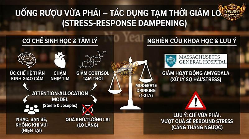Uống rượu vừa phải – Tác dụng tạm thời giảm lo âu (Stress-Response Dampening)