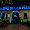 Karaoke Dragon Palace KTV - 151 Đường 9A
